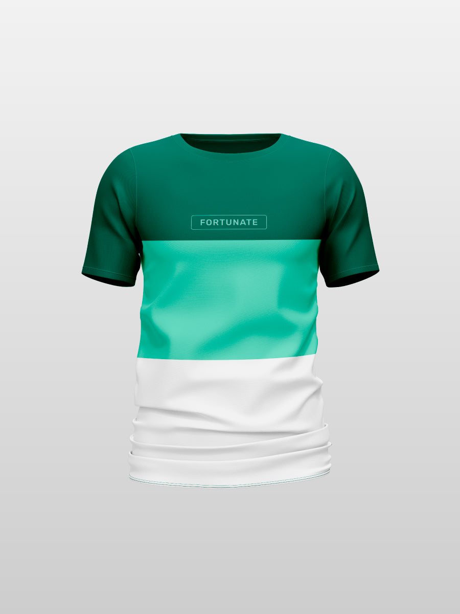 CAMISETA ESTAMPADA X 3 (P5 GRAYWAI, DUOGREEN, TRICOLOR)
